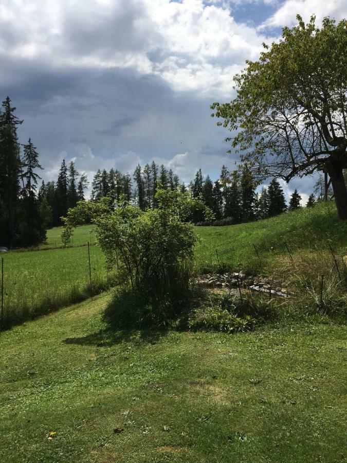 Haus Katrin Villa Sankt Marein bei Knittelfeld Eksteriør billede